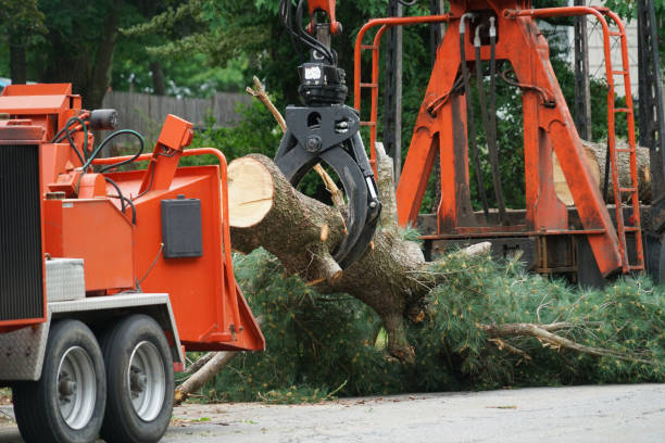 Mulching Services in Hillsville, VA